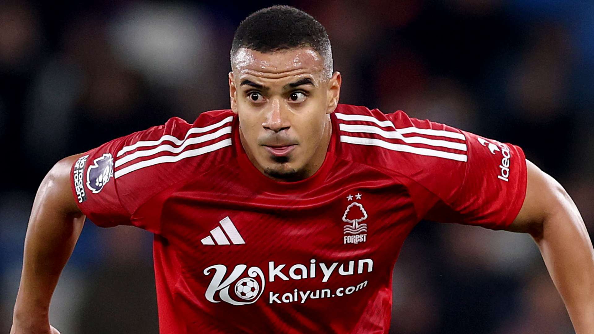 此番續約 此番續約